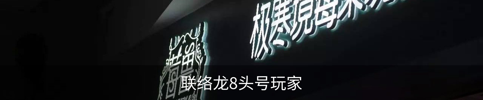 联络龙8头号玩家